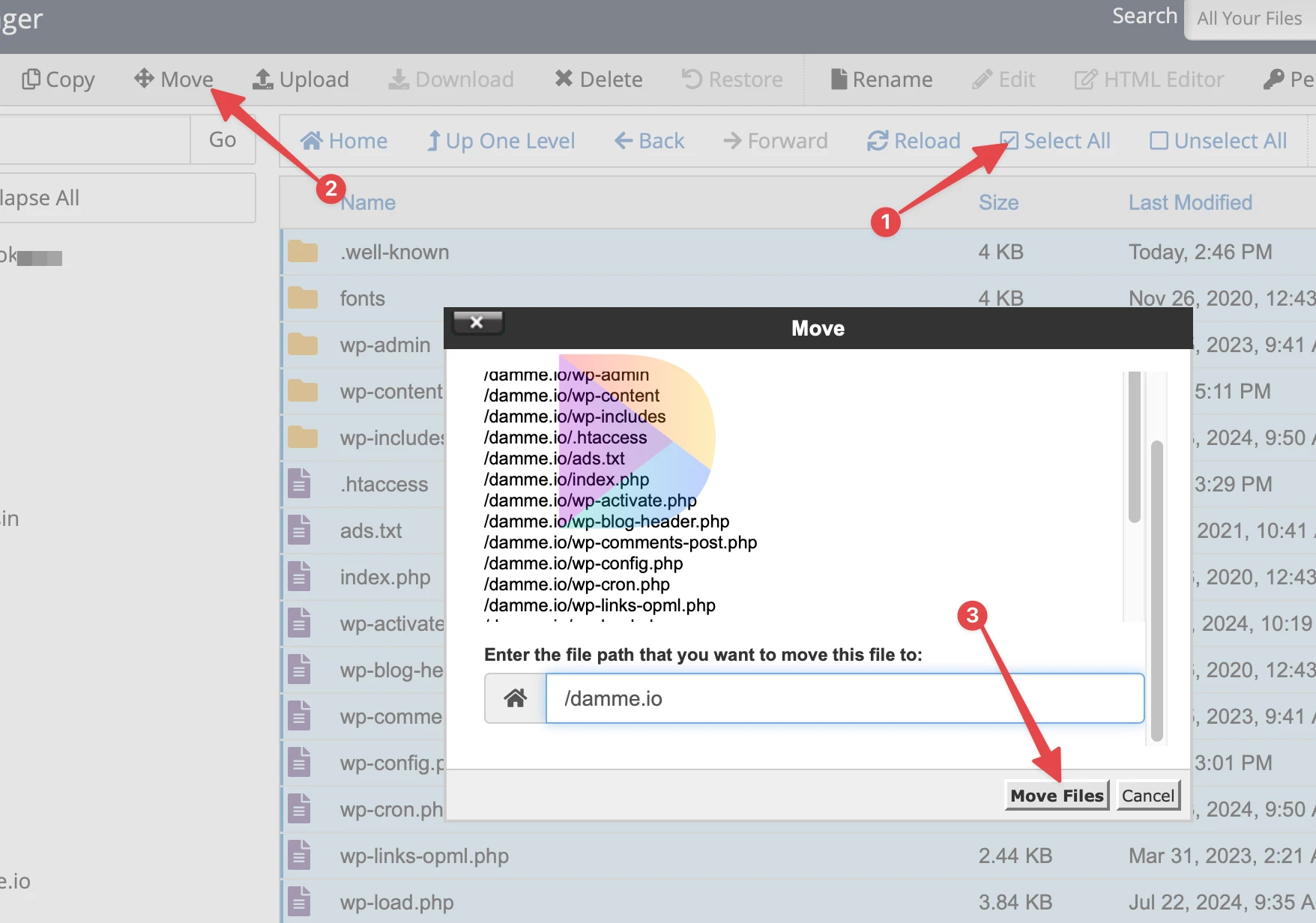 Chuyển Website Từ VPS Về Hosting Azdigi
