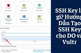 ssh key vultr