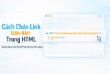 Hướng Dẫn Nhanh 5 Cách Chèn Link (Liên Kết) Trong HTML