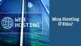 Nên Mua Hosting Ở Đâu? Top 3 Hosting Tốt Nhất (10/2026)