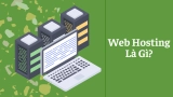 Web Hosting Là Gì? 3 Loại Hosting Phổ Biến Hiện Nay